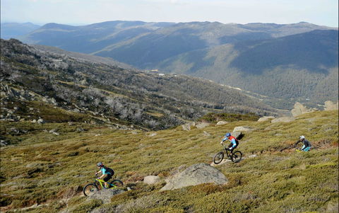 Thredbo Mountain Biking - New South Wales Tourism  0