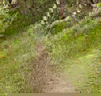 Three Views walking track - New South Wales Tourism 