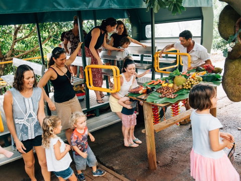 Tropical Fruit World - New South Wales Tourism  2