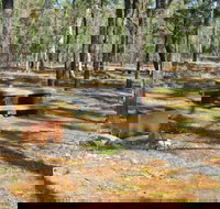 Two Dams picnic area - New South Wales Tourism 