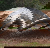 Underwater Marine Sculptures - New South Wales Tourism 