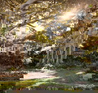 Wendy Whiteley's Secret Garden - New South Wales Tourism 