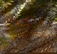 West Coast - New South Wales Tourism 