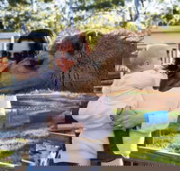 White Ridge Farm - New South Wales Tourism 