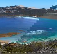 Whitemark - New South Wales Tourism 