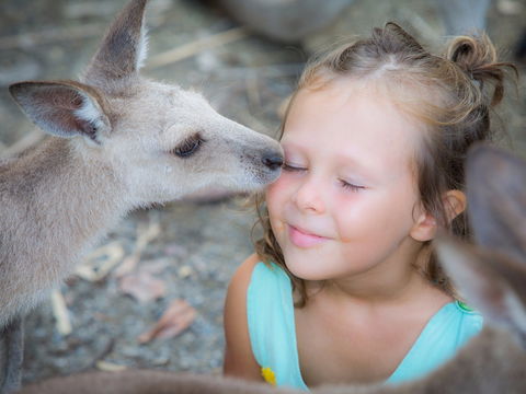 Wildlife Habitat - New South Wales Tourism  1