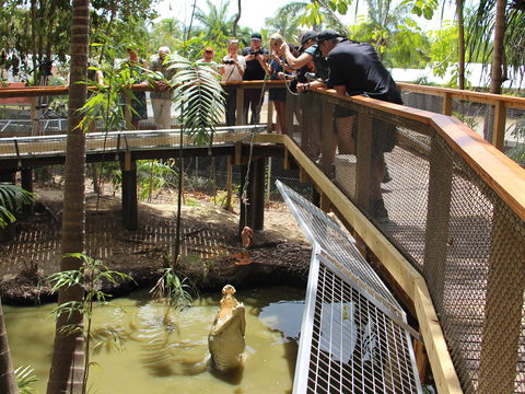 Wildlife Habitat - New South Wales Tourism  2