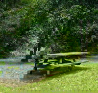 Williams River picnic area - New South Wales Tourism 