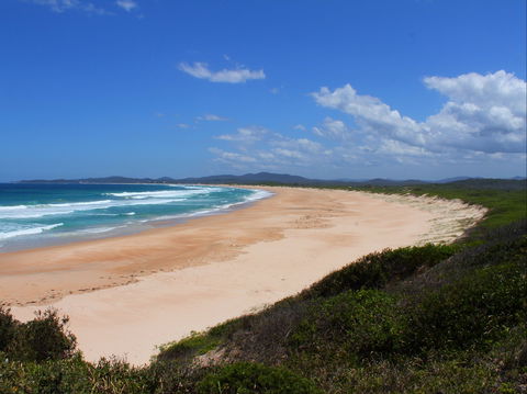 Wilsons Headland - New South Wales Tourism  0