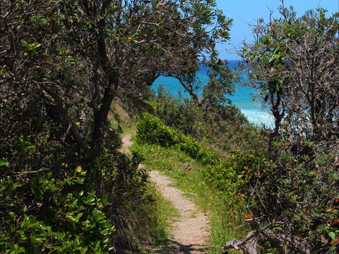 Wilsons Headland - New South Wales Tourism  1