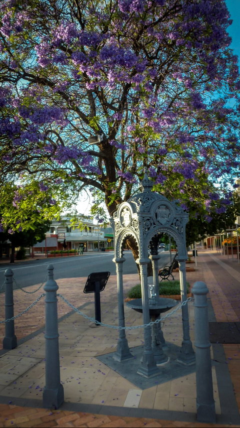 Witcombe Fountain - New South Wales Tourism  0