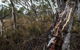 Yanununbeyan State Conservation Area - thumb 0