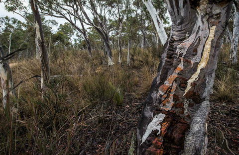 Yanununbeyan State Conservation Area - New South Wales Tourism  0