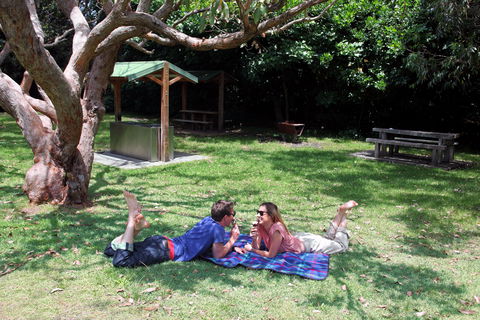 Abrahams Bosom Reserve - New South Wales Tourism  1