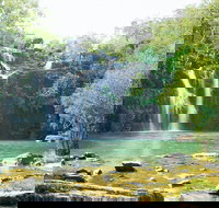 Airlie Beach to Cedar Creek Falls - New South Wales Tourism 