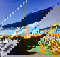 Art Trails in the Moree Plains - New South Wales Tourism 