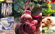 Ballina Farmers Market - thumb 0