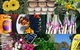 Ballina Farmers Market - thumb 1
