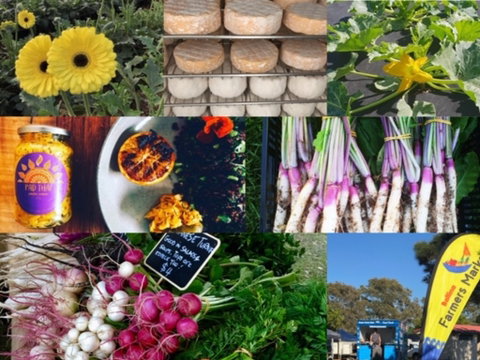 Ballina Farmers Market - New South Wales Tourism  1