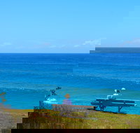 Bare Point - New South Wales Tourism 