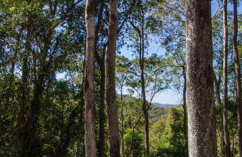 Basin Loop Track - New South Wales Tourism  0