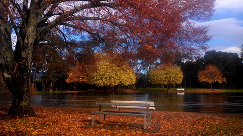 Bells Parade Reserve - New South Wales Tourism  0