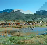 Biggenden - New South Wales Tourism 