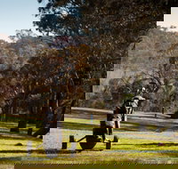 Blayney Golf Club - New South Wales Tourism 