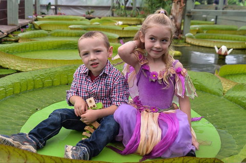 Blue Lotus Water Garden - New South Wales Tourism  2