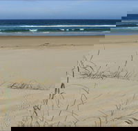 Bongil Beach - New South Wales Tourism 