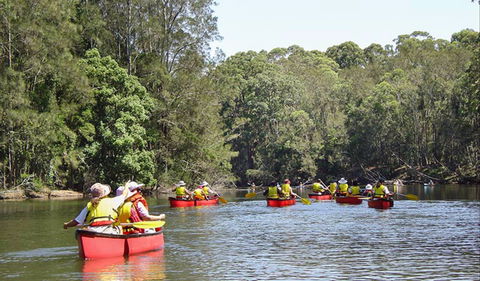 Bonville Creek - New South Wales Tourism  0