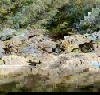 Boonoo Boonoo National Park - New South Wales Tourism 