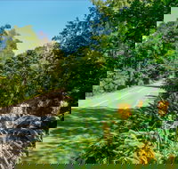 Broughton Vale - New South Wales Tourism 