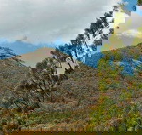 Burrowa-Pine Mountain National Park - New South Wales Tourism 