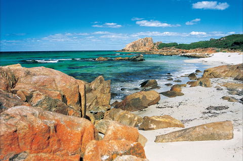 Castle Bay - New South Wales Tourism  0