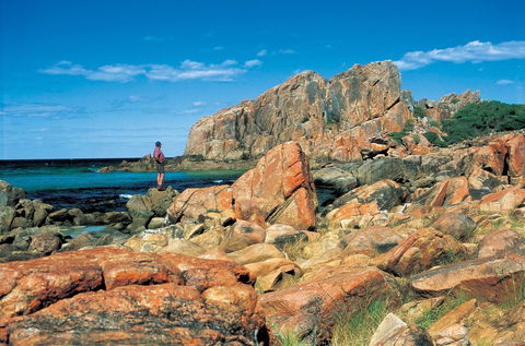 Castle Bay - New South Wales Tourism  1