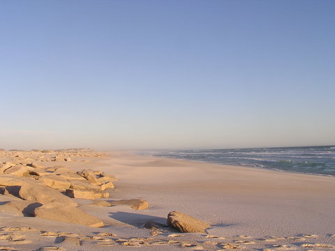 Chadinga Conservation Park - New South Wales Tourism  0