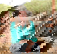 Creswick Woollen Mills - New South Wales Tourism 