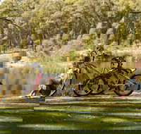 Creswick Regional Park - New South Wales Tourism 