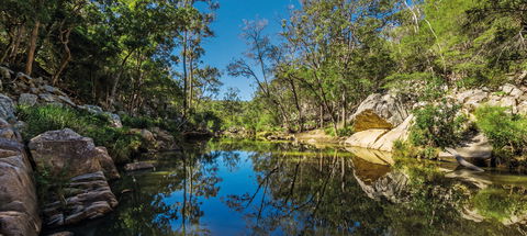 Crows Nest National Park - New South Wales Tourism  0