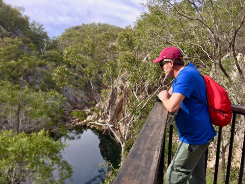 Crows Nest National Park - New South Wales Tourism  2