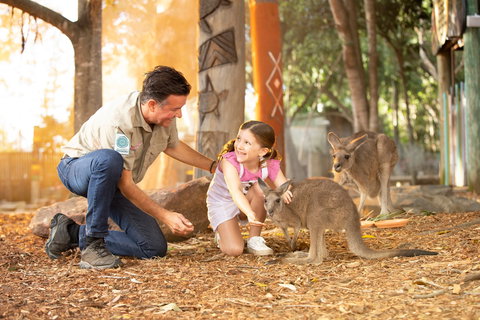 Dreamworld - New South Wales Tourism  2