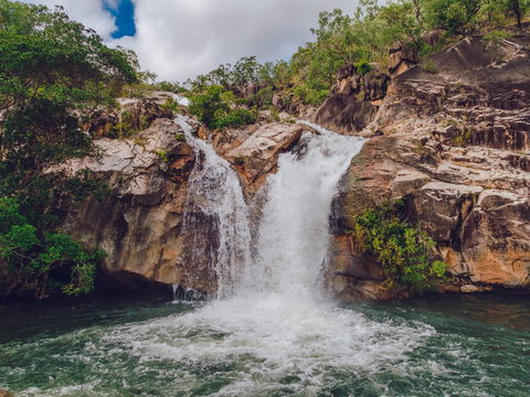 Emerald Creek, Dinden West Forest Reserve - New South Wales Tourism  0
