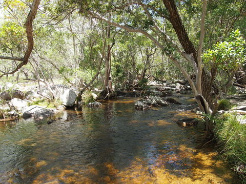 Emerald Creek, Dinden West Forest Reserve - New South Wales Tourism  1