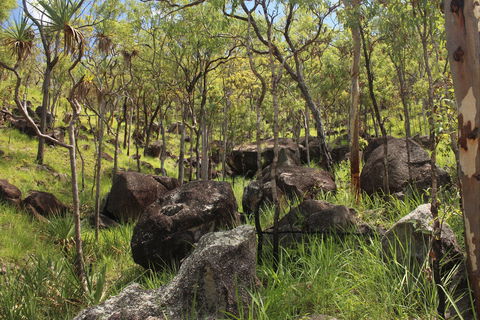 Emerald Creek, Dinden West Forest Reserve - New South Wales Tourism  2