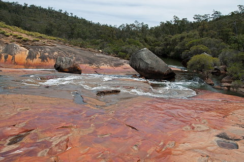 FR Berry Reserve - New South Wales Tourism  0