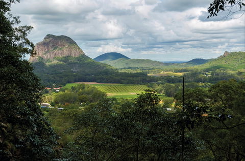 Glass House Mountains National Park - New South Wales Tourism  2