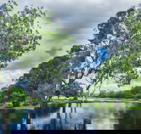 Gold Coast Regional Botanic Gardens - New South Wales Tourism 