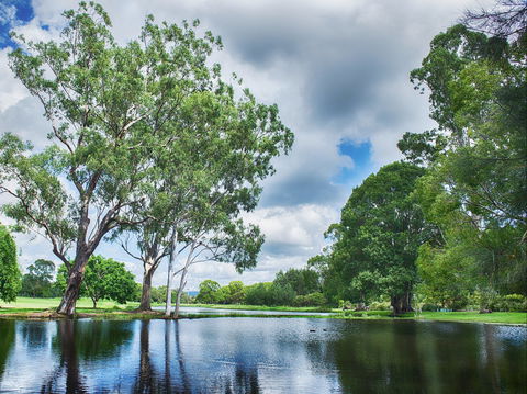 Gold Coast Regional Botanic Gardens - New South Wales Tourism  0