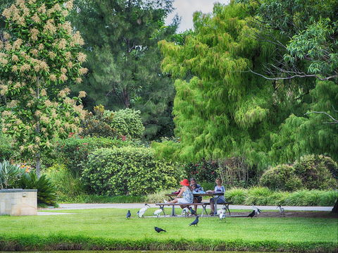 Gold Coast Regional Botanic Gardens - New South Wales Tourism  2